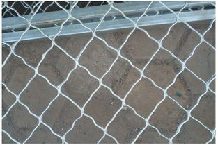 台州市铁丝网围栏劲爆的价格吸引眼球火速围观